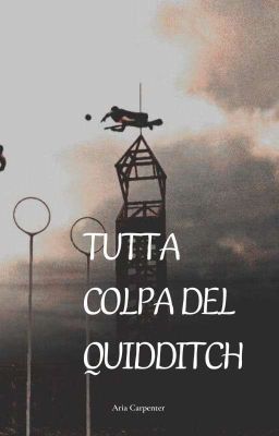 tutta colpa del Quidditch  cover