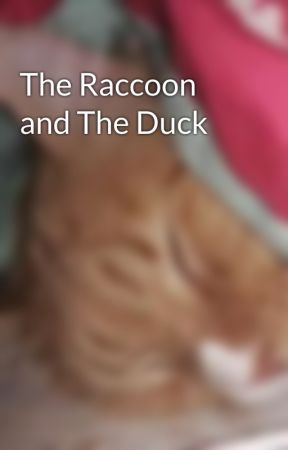 The Raccoon and The Duck by i_need_a_life1213