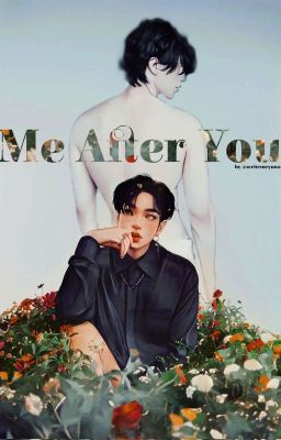 Me After You (Completed) cover