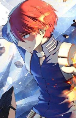 SMUT TODOROKI X Y/N cover