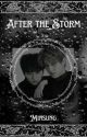 After the Storm {Minsung} by Emblazely