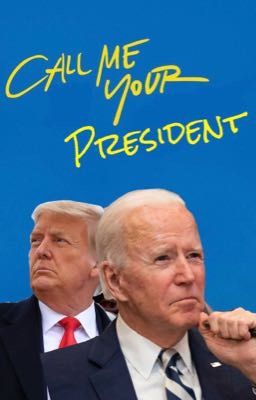 Trump x Biden (Call Me Your President) cover