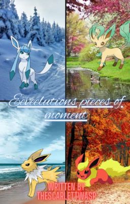 Eeveelutions pieces of moment cover