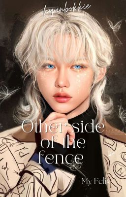 Other Side of the Fence | ✓ cover