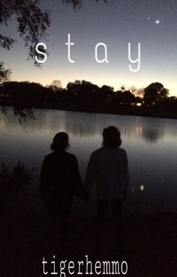 stay. // hood cover