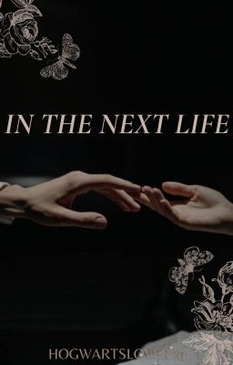 In The Next Life - Theodore Nott Fanfic cover