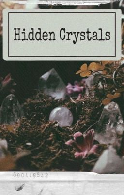 ✧Hidden Crystals ✧ cover