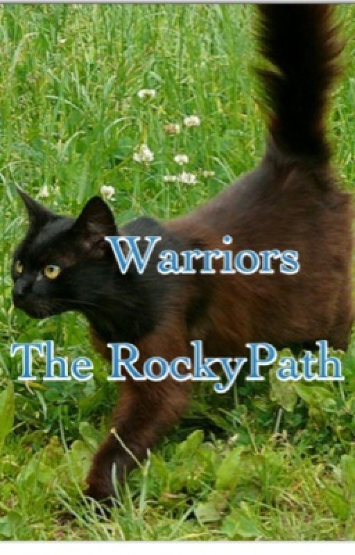 Warriors The RockyPath by MushyDog