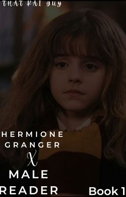 The Philosopher's Stone (Hermione Granger x Male Reader) cover