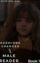 The Philosopher's Stone (Hermione Granger x Male Reader) by ThatKaiGuy