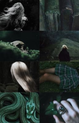 The Slytherin Prince And Princess ✔️ cover