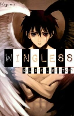 Wingless cover