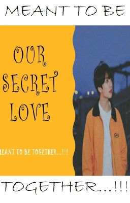 OUR SECRET LOVE cover