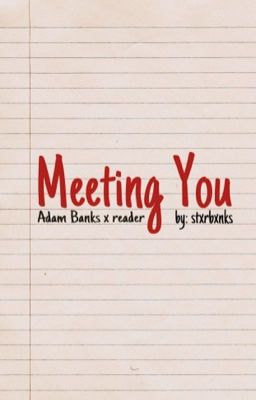 Meeting You (a.banks x y/n) cover