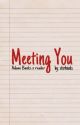 Meeting You (a.banks x y/n) by stxrbxnks