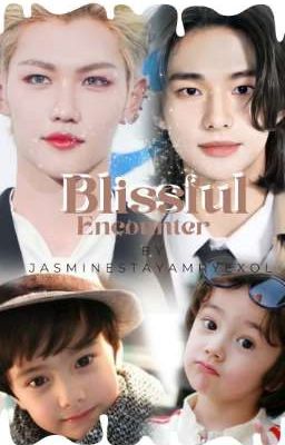 Blissful Encounter(Hyunlix) cover