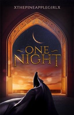 One Night  cover