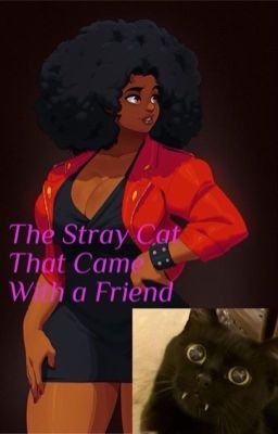 The Stray Cat That Came With A Friend cover