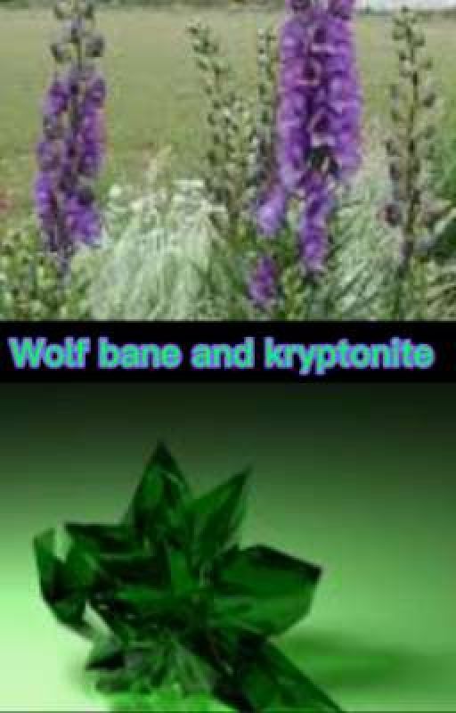 wolf bane and kryptonite  by arrow-wolf