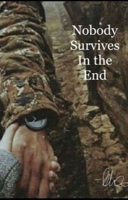 Nobody Survives in the End cover