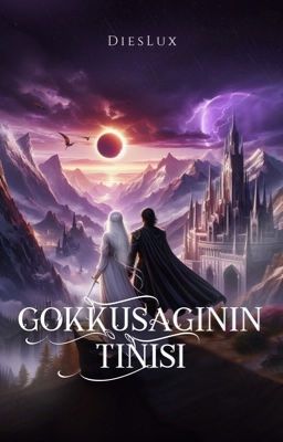 GÖKKUŞAĞININ TINISI cover