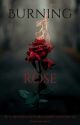 Burning rose by _hejvii_