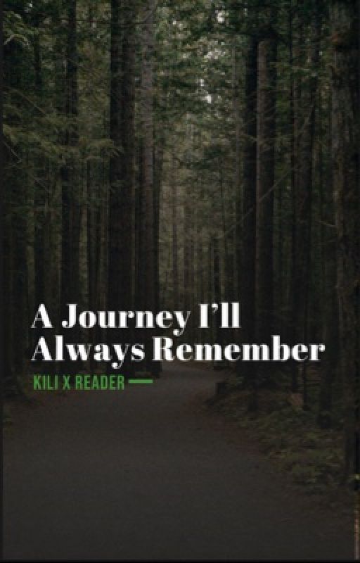 A Journey I'll Always Remember (Kili x Reader)  by unknown8363