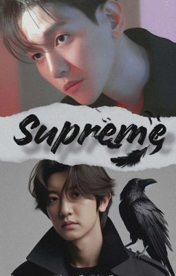 •• Supreme ••  cover