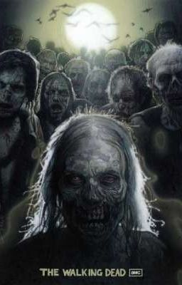 The Walking Dead x Zombie Reader cover