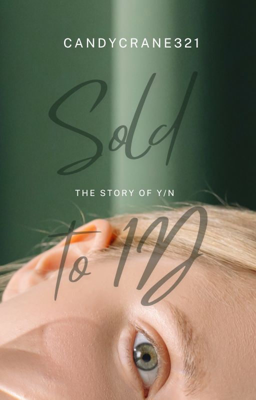 Sold to 1D: The Story of Y/N by candycrane321