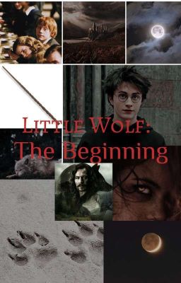 Little Wolf: The Beginning  cover