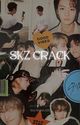 STRAY KIDS TEXTING FIC | CRACK cover