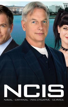 NCIS: The Secret of the Agent by MistyBlair98