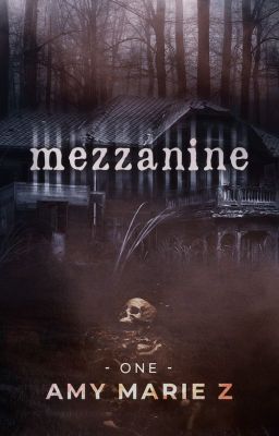 Mezzanine cover