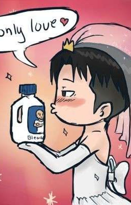 Levi x Windex by Koythesoy