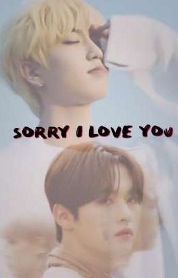 Sorry I love you | Stray Kids AU Fanfiction  cover