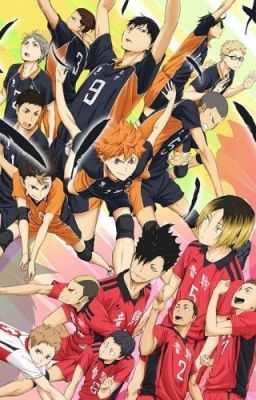 ~Haikyuu One Shots~ cover