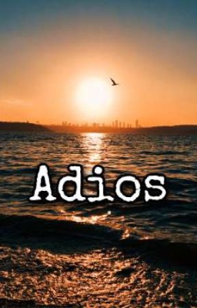 Adios //Márkosz × Reader// by xgjsbb444bb