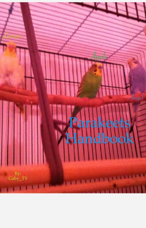 Parakeets handbook by Gaby_TY