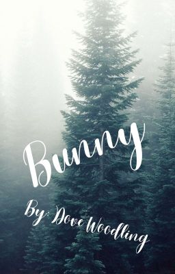 Bunny cover