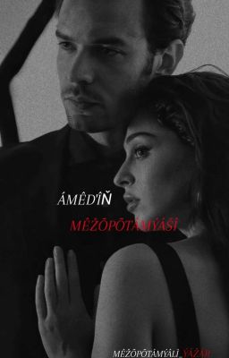 AMED'İN MEZOPOTAMYASI  cover