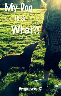 My Dog Is a What?! cover