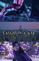 Spider-Man Male Reader x Kate Bishop || Caught In A Web by Syloe_