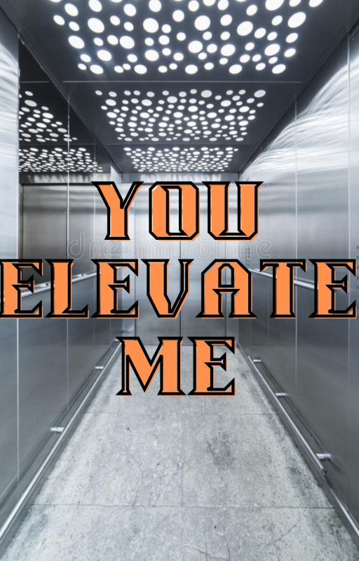 You Elevate Me (Yandere Elevator X F!Reader) by RobinAppledust