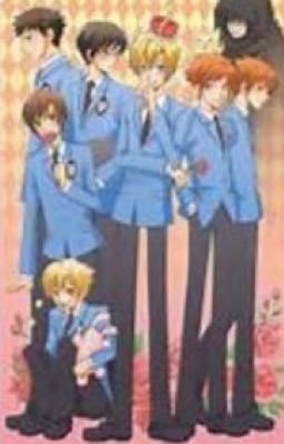 Haruhi's sister (OHSHC)  cover