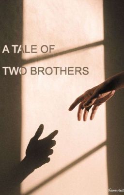 A Tale of Two Brothers cover