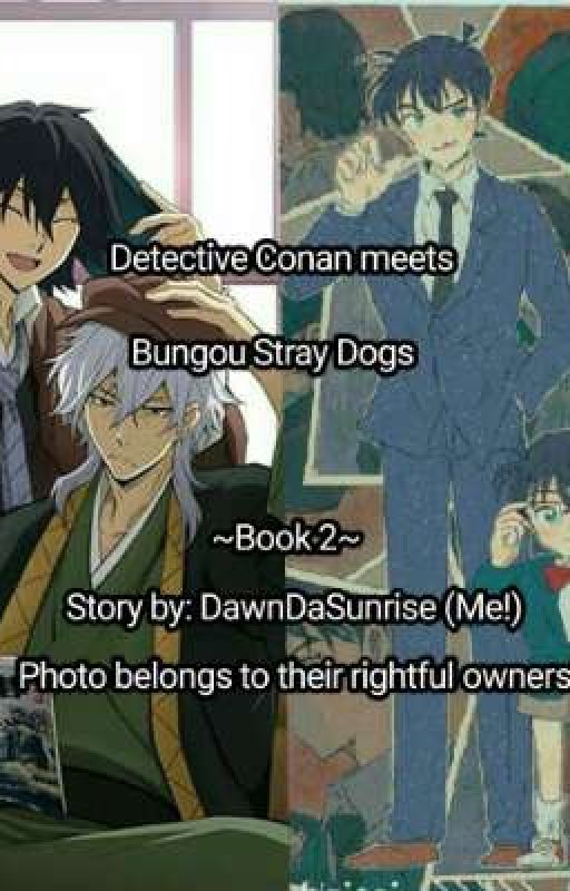 Case Closed meets Bungo Stray Dogs (Case Closed and BSD crossover) ~Book 2~ by Dawn_Clouds