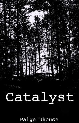 Catalyst cover