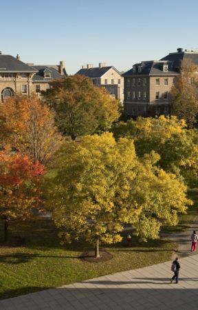 The Quad by la_renarde_noire