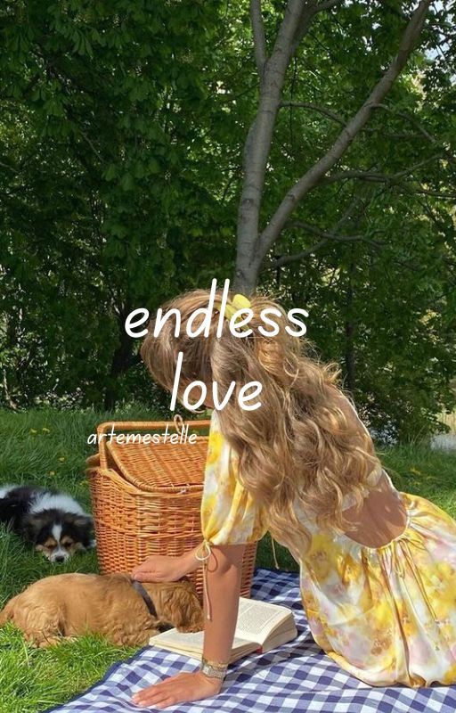 Endless Love (Book 1 of Boundless Love Trilogy)  by artemestelle